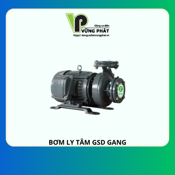 BƠM GSD ĐẦU GANG