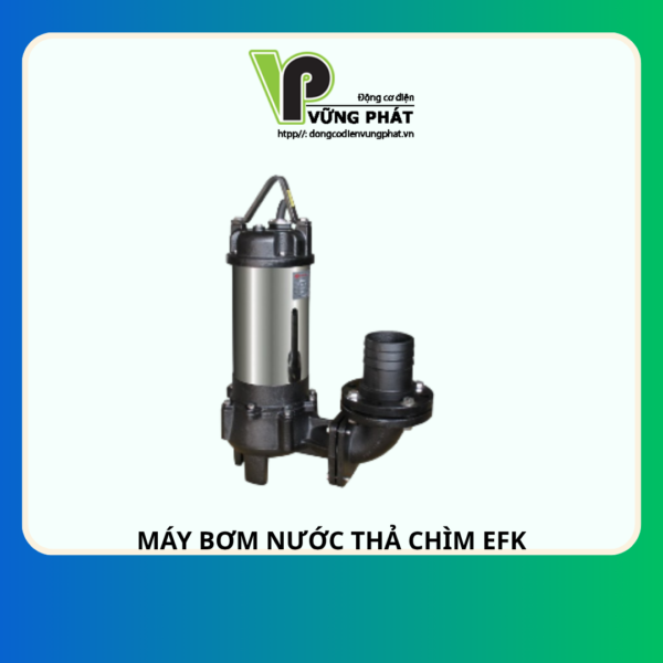 BƠM CHÌM EVERGUSH EFK