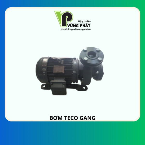 MÁY BƠM NƯỚC TECO ĐẦU GANG