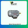 Motor Tatung chân đế