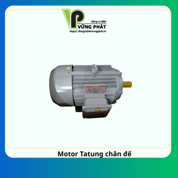 Motor Tatung chân đế