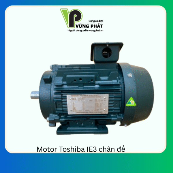 Motor Toshiba IE3 chân đế