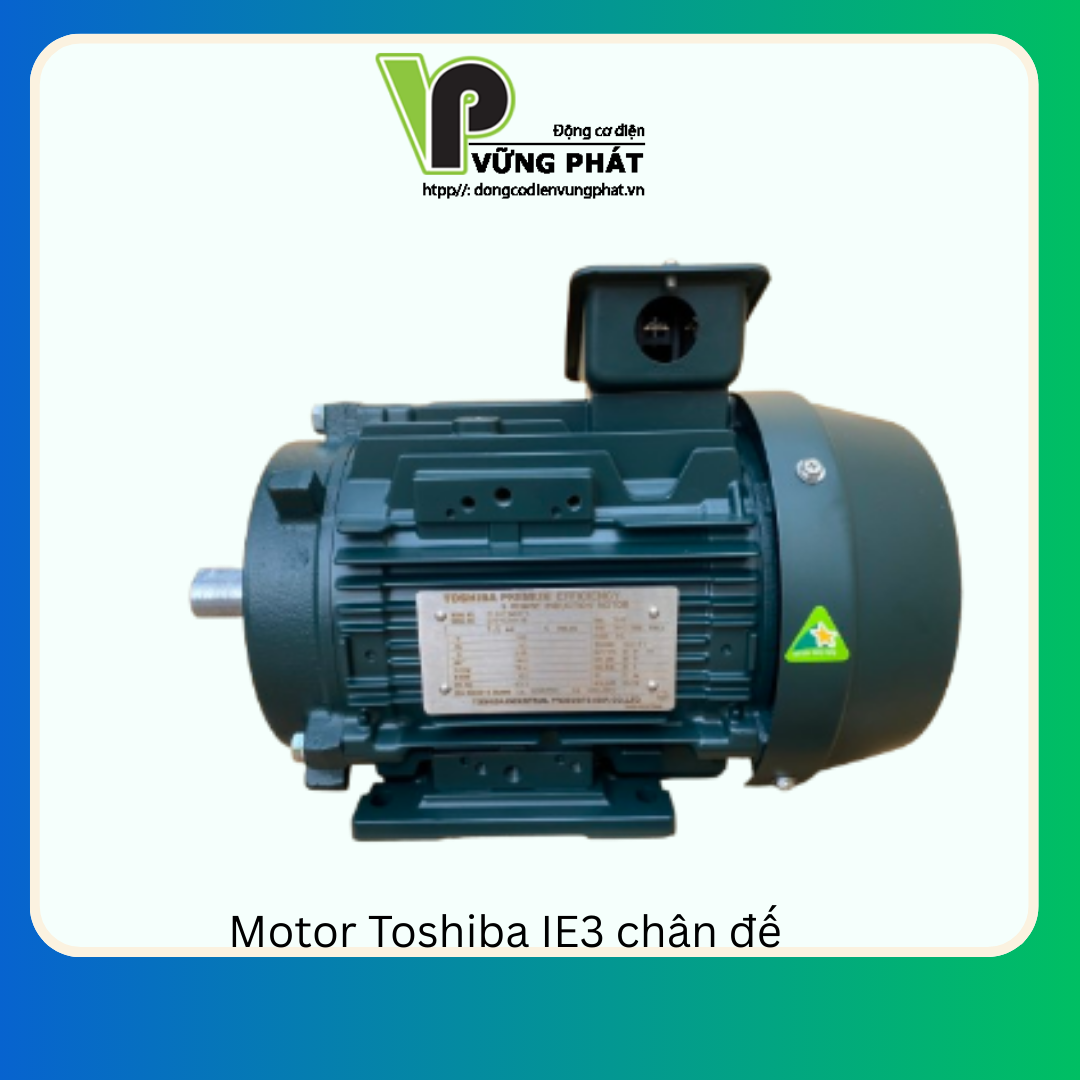 Motor Toshiba IE3 chân đế