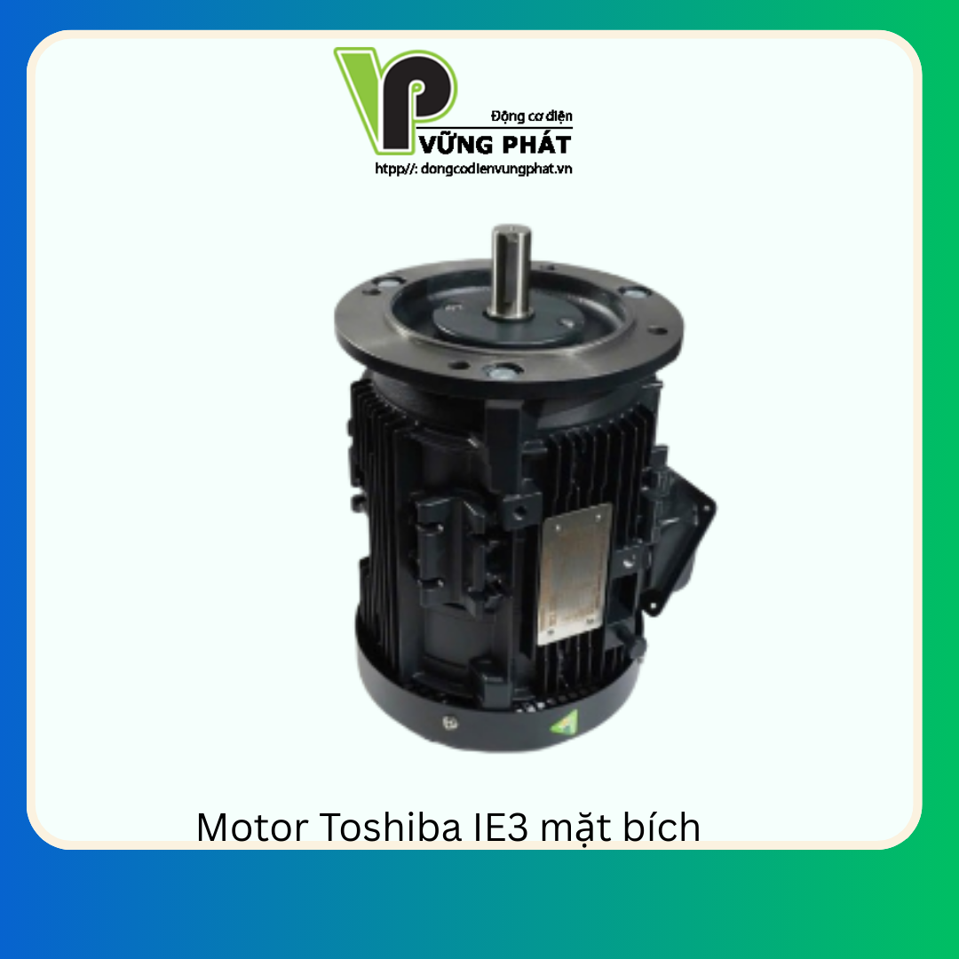 Motor Toshiba IE3 mặt bích