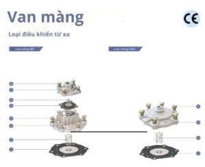 cau tao van Joil - 3