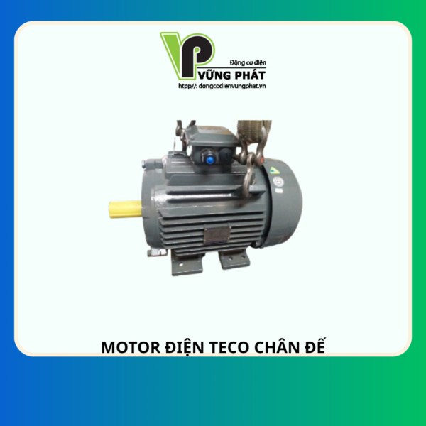 TECO AESV MOTOR ĐIỆN TECO CHÂN ĐẾ
