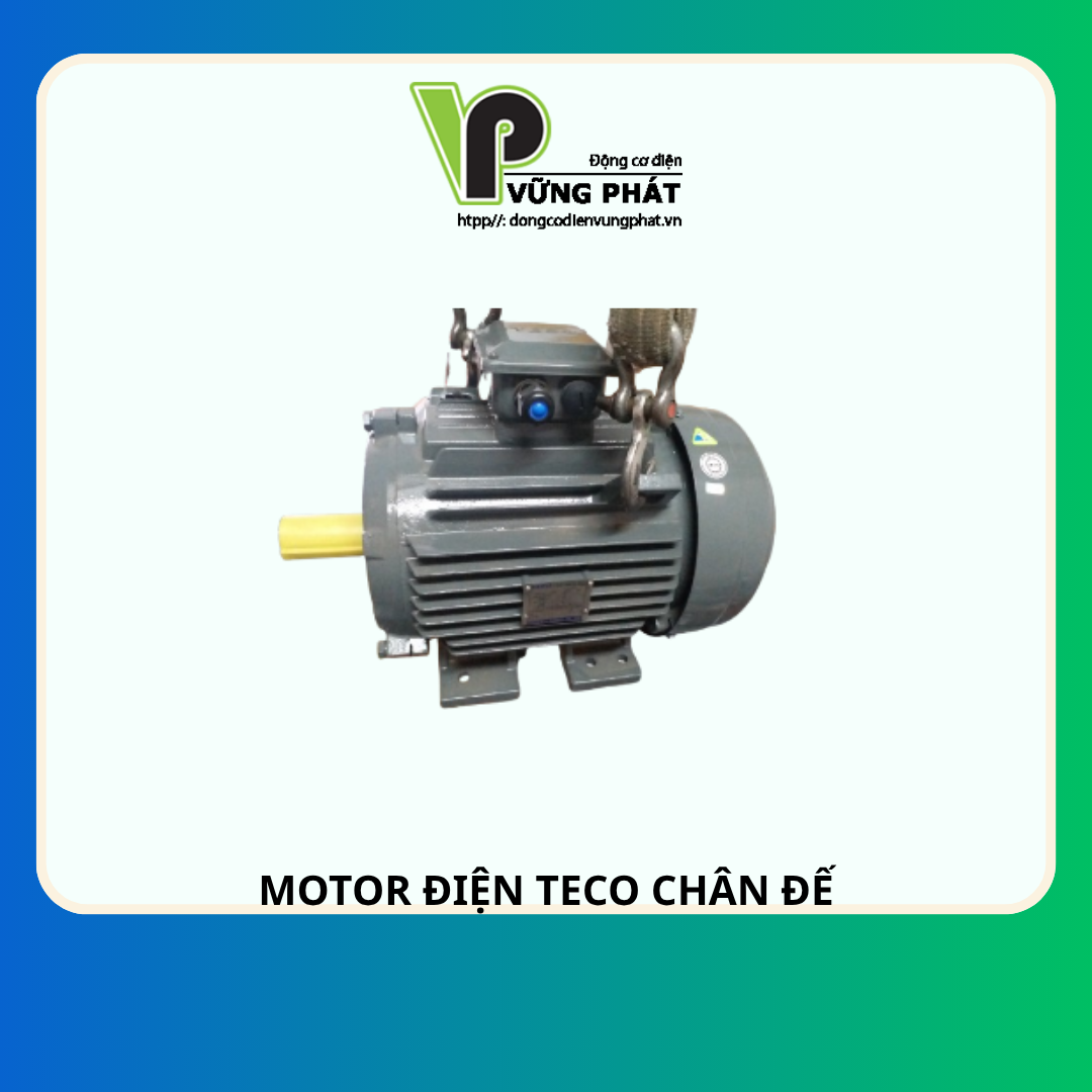 TECO AESV MOTOR ĐIỆN TECO CHÂN ĐẾ