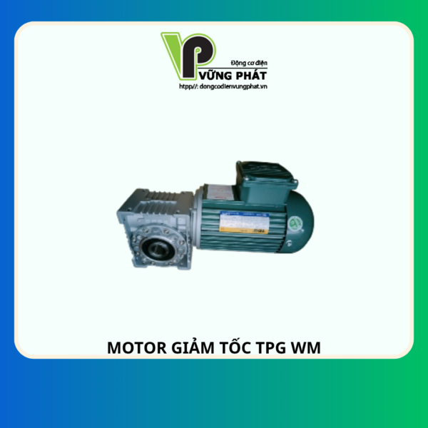 TPG WM